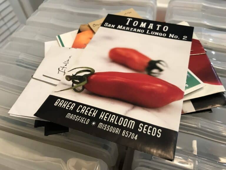 Buying Heirloom Tomato Seeds: Where to Buy + Helpful Tips