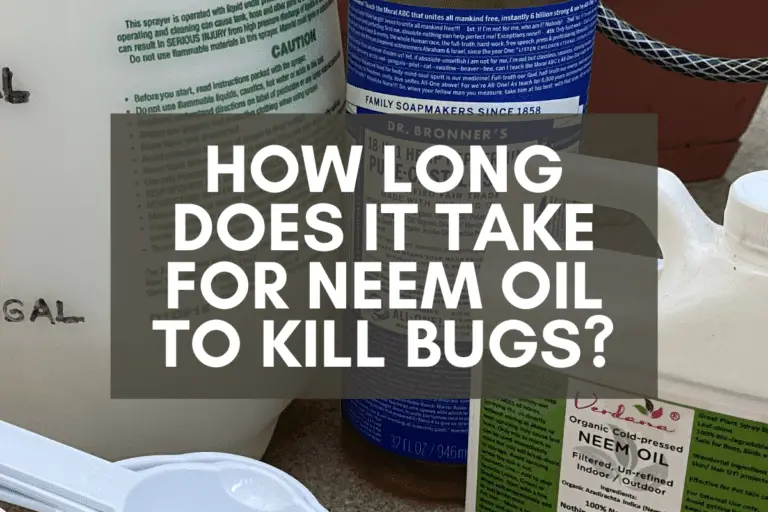 How Long Does It Take for Neem Oil to Kill Bugs?