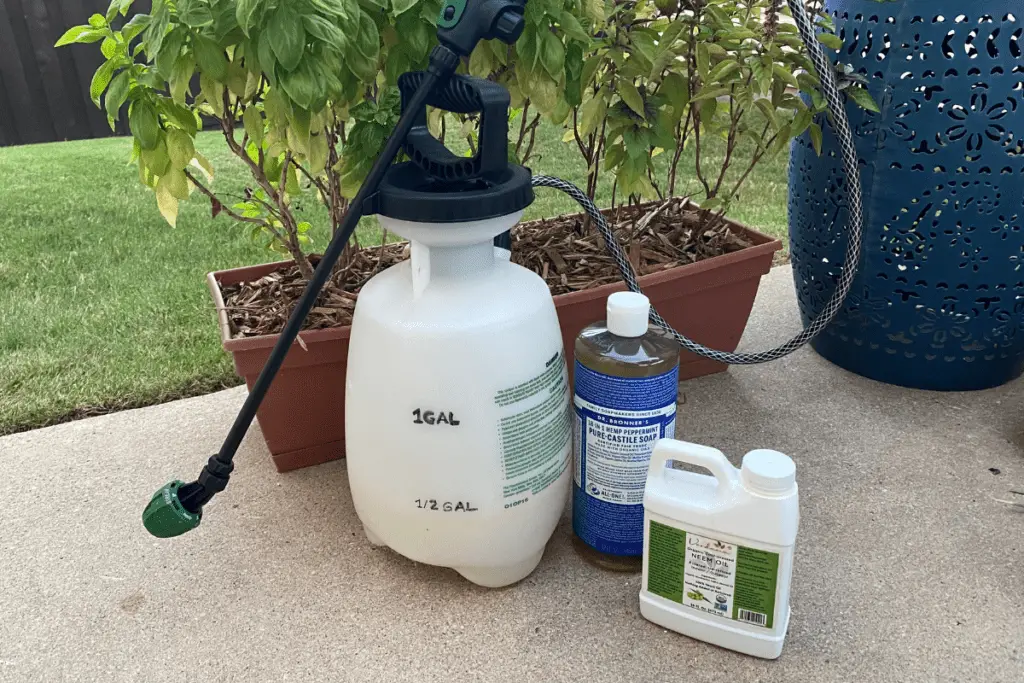 Neem Oil Concentrate, Sprayer, and Liquid Soap