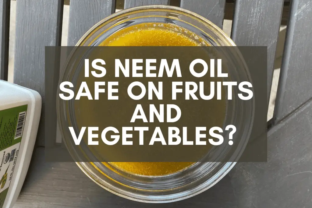 Is Neem Oil Safe on Fruits and Vegetables? Food for Thought Backyard