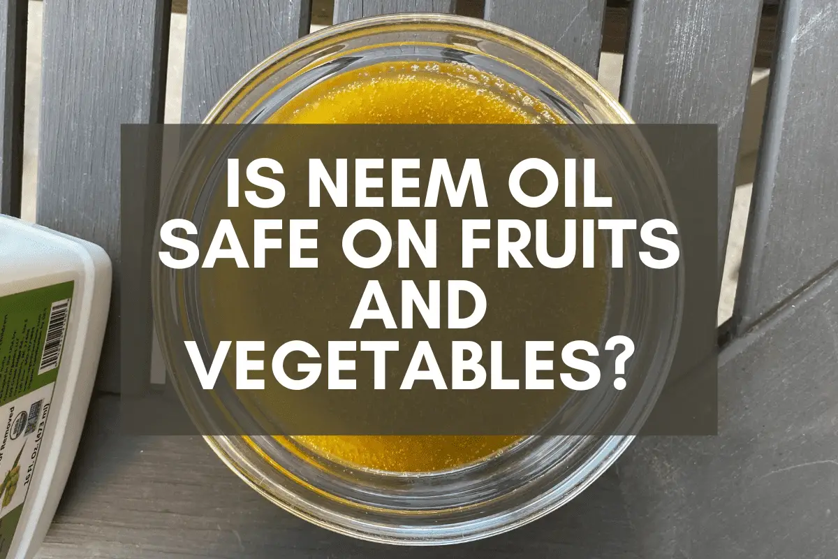 Is Neem Oil Safe on Fruits and Vegetables