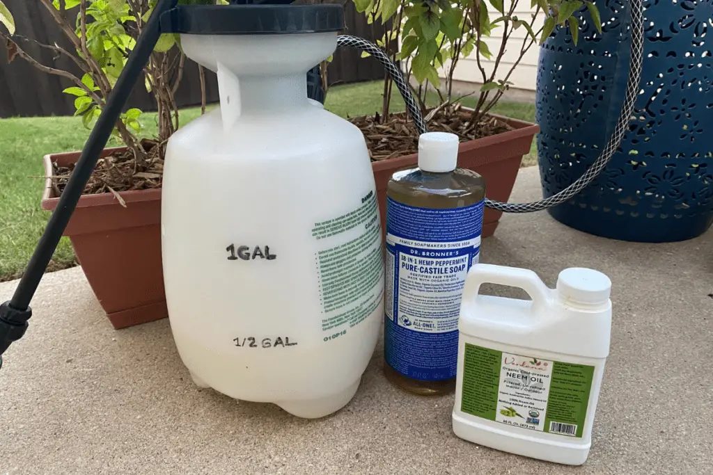 Neem Oil, Liquid Soap, and Sprayer
