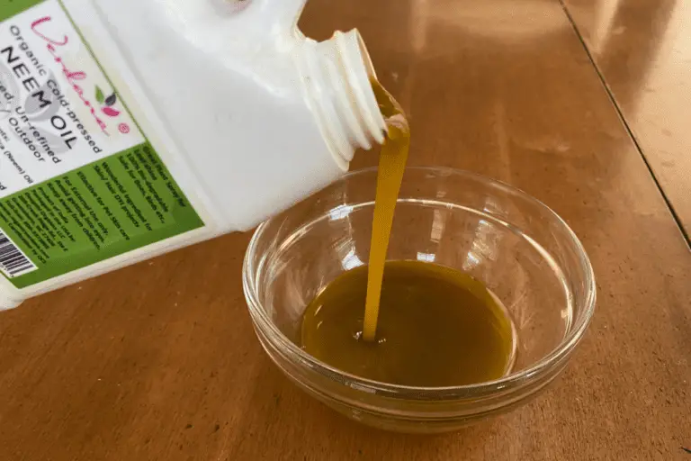 Why Do Insects Hate Neem Oil? 12 Secrets to Its Success