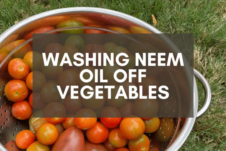 Washing Neem Oil Off Vegetables: Do This Before Eating