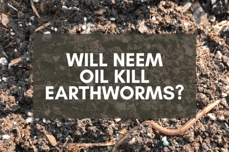 Will Neem Oil Kill Earthworms? Scientists Weigh In