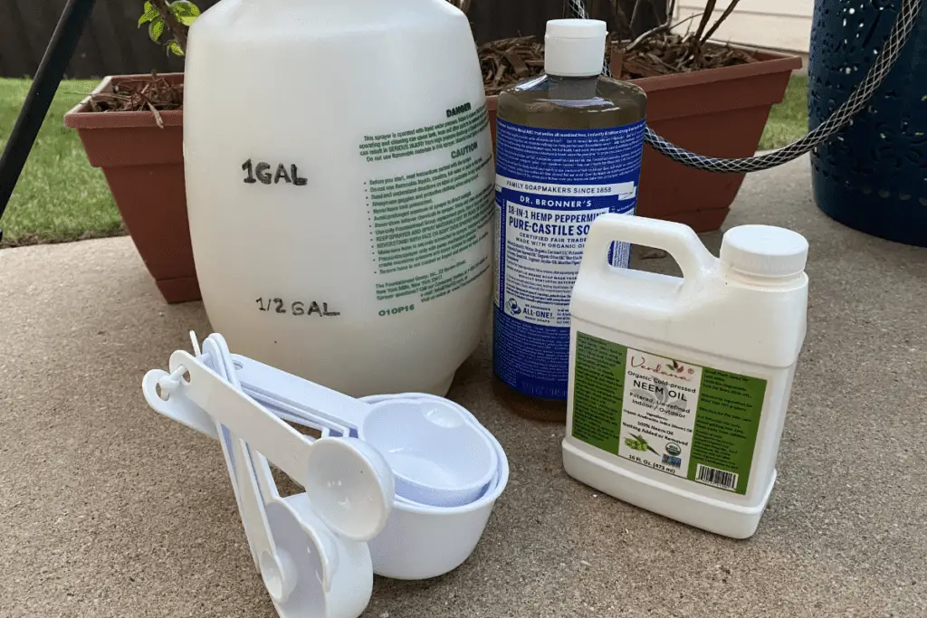 Photo of neem oil, liquid soap, and garden sprayer