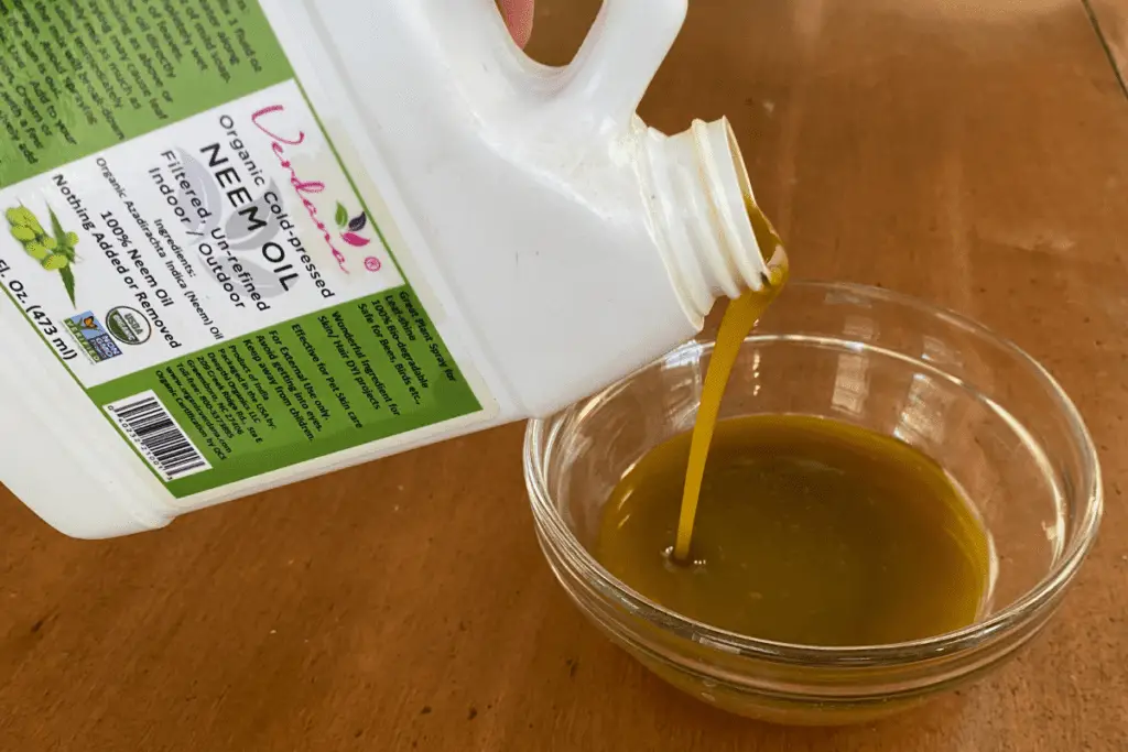 Photo of neem oil concentrate being poured into a dish.