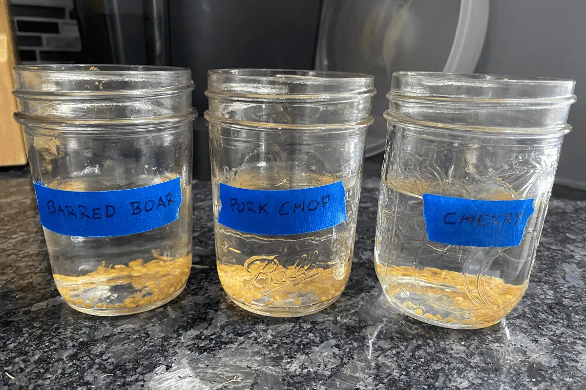 Tomato Seeds in Clearly Labeled Jars
