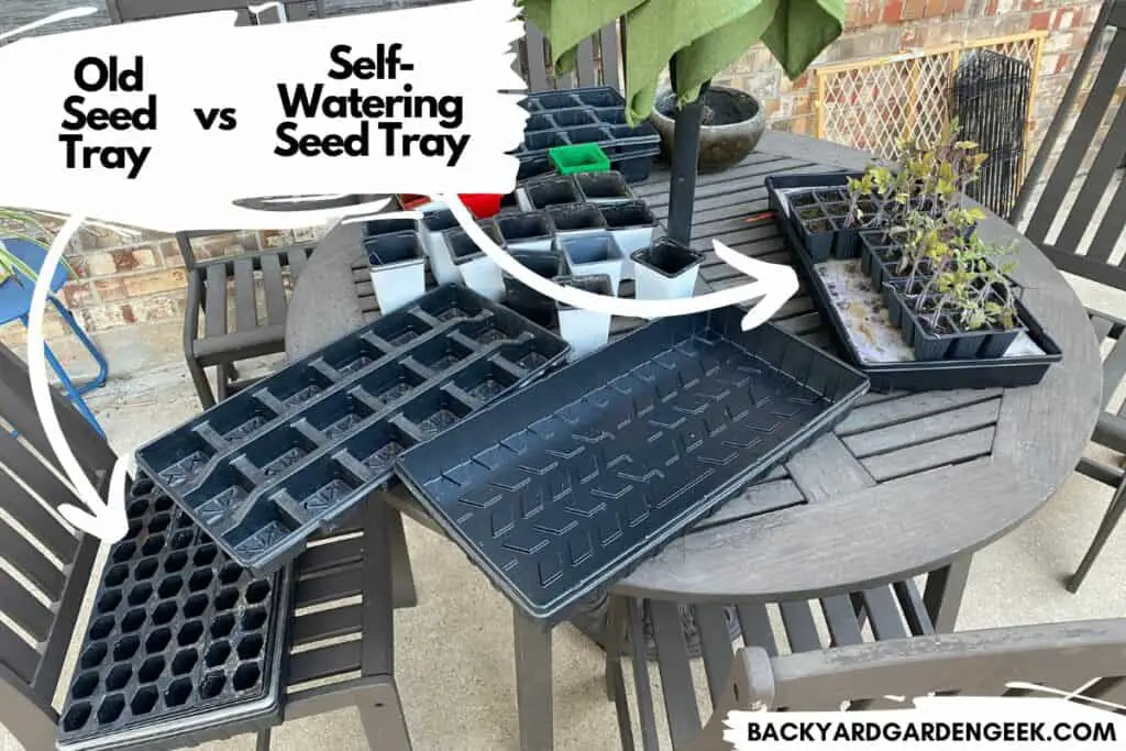 Seed Trays versus Self-Watering System