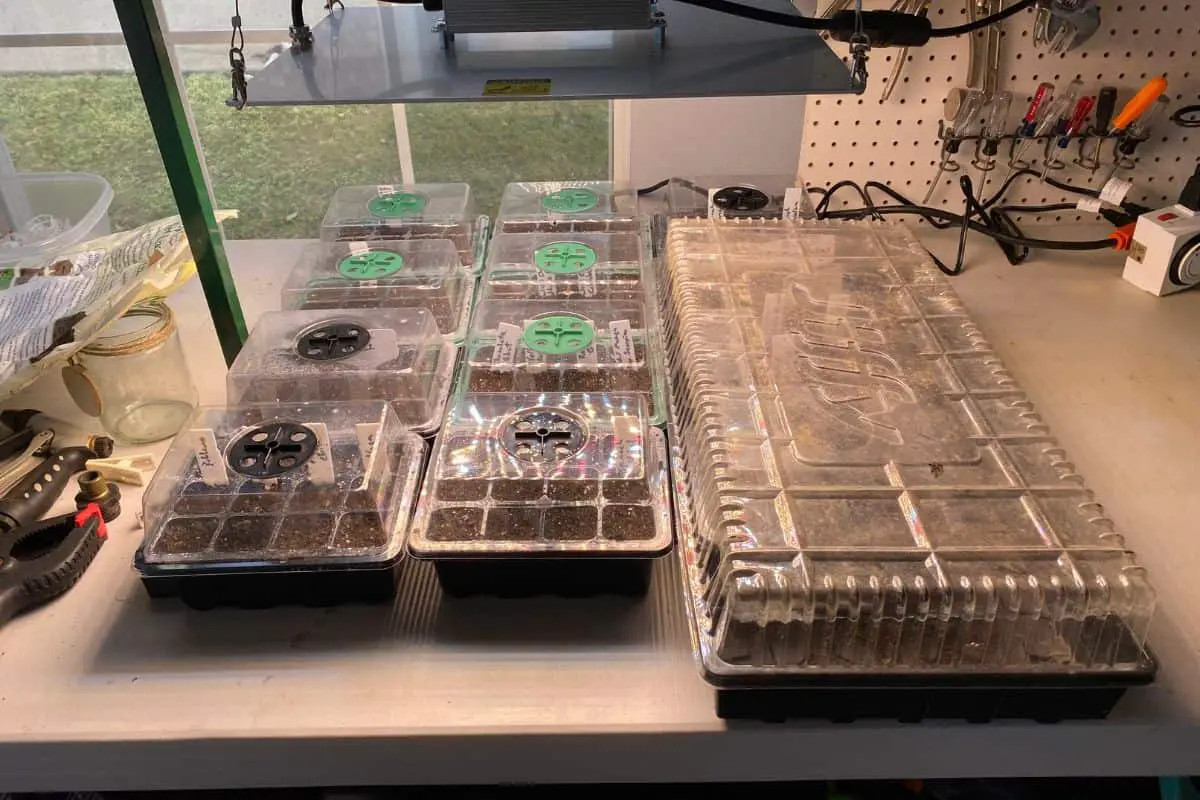 Seed Trays with Humidity Domes