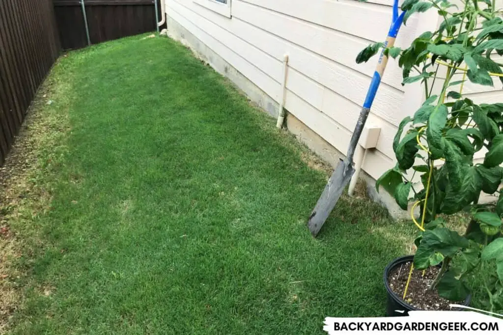 Backyard Lawn Before Raised Beds