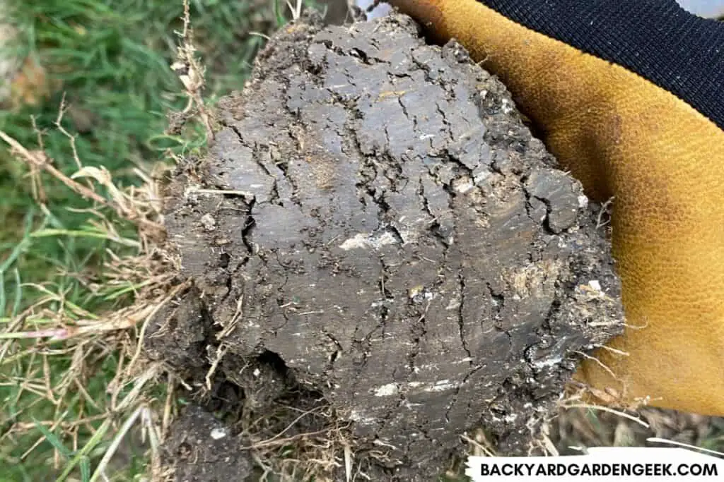 Close Up of Clay Soil in My Backyard