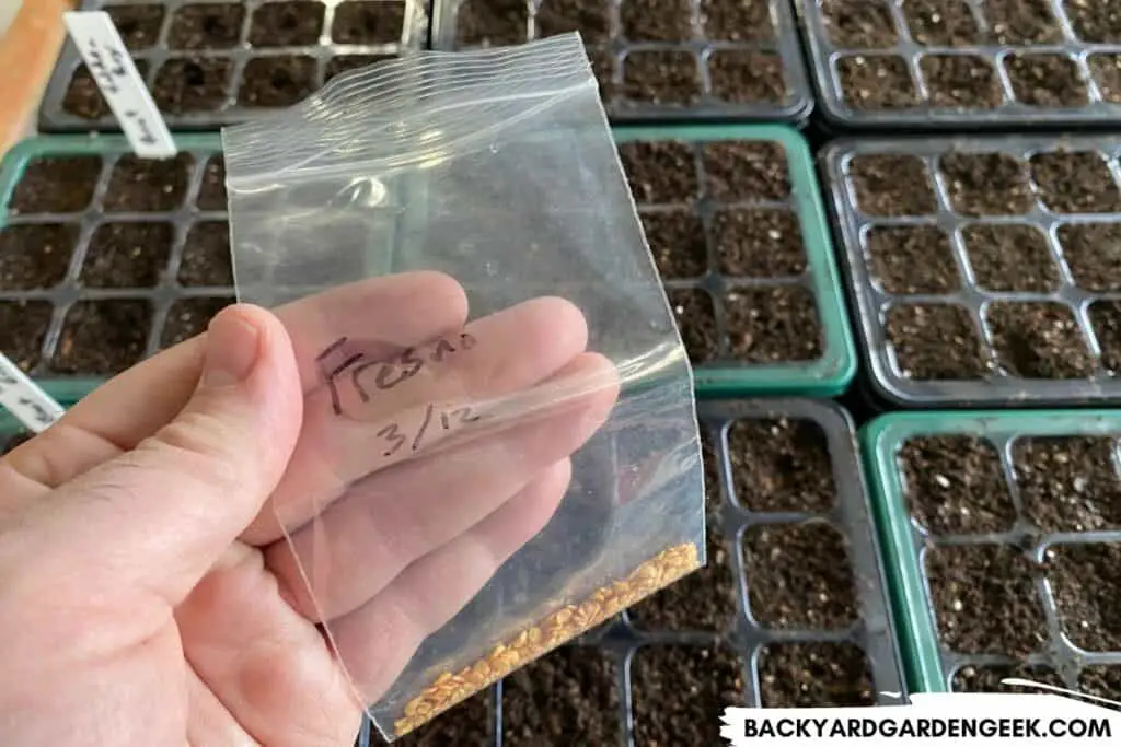 Old Fresno Seeds in Clear Plastic Bag