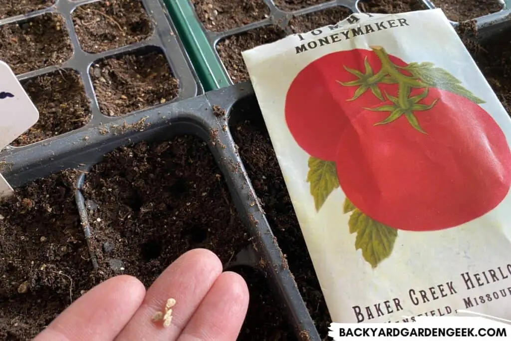 Old Package of Tomato Seeds