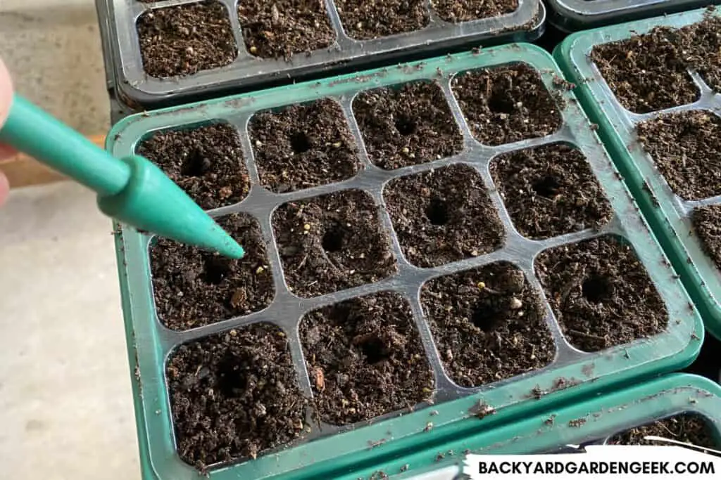 Preparing Soil for Germinated Seeds