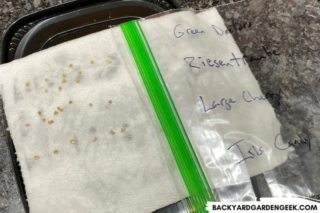 Seeds on Paper Towels