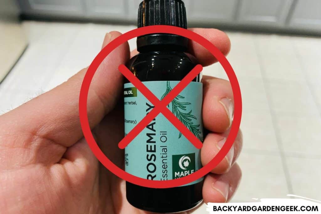 Bottle of Rosemary Oil