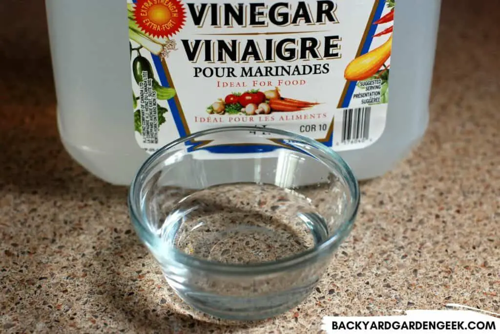 Cut of White Vinegar