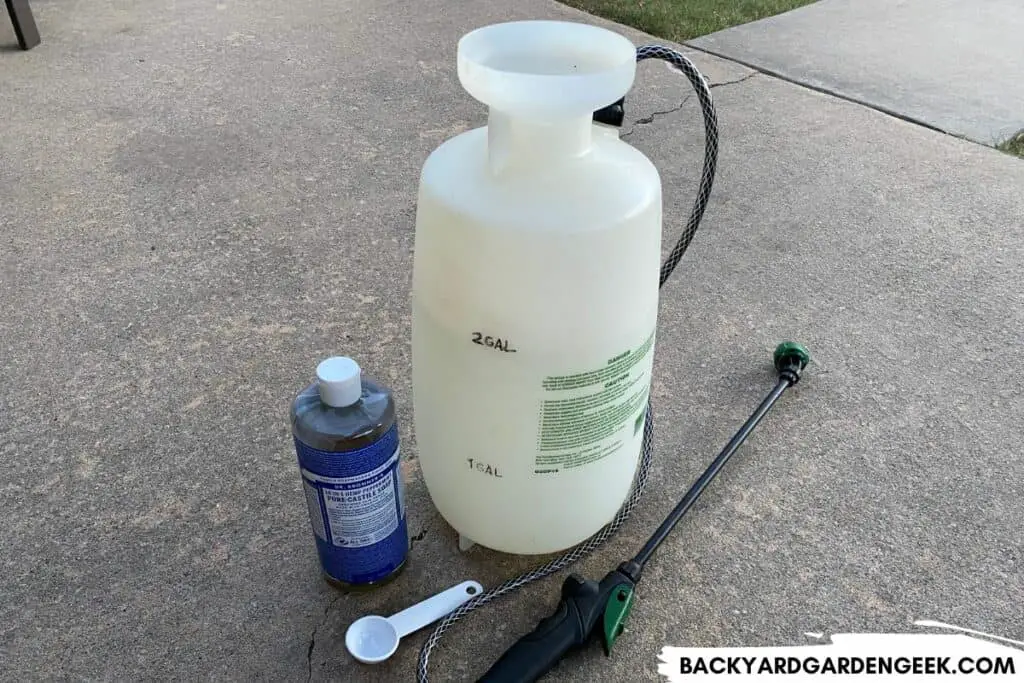 Liquid Castile Soap Used on Aphids