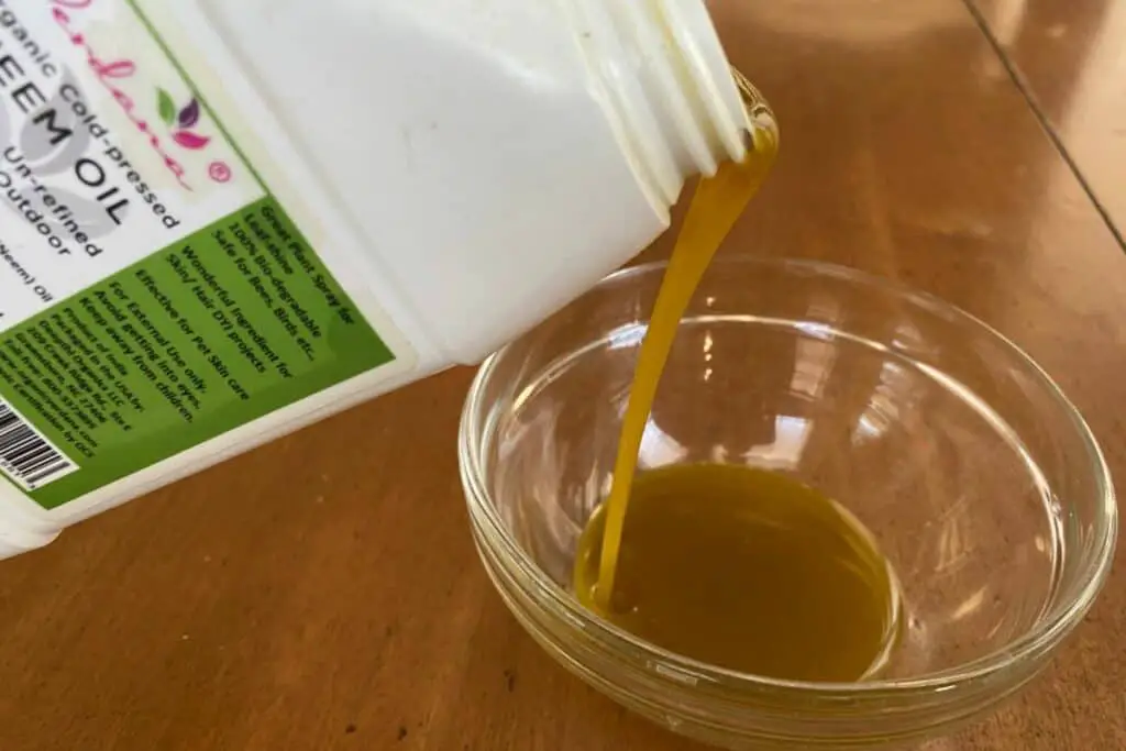 Pouring Neem Oil Out of the Bottle