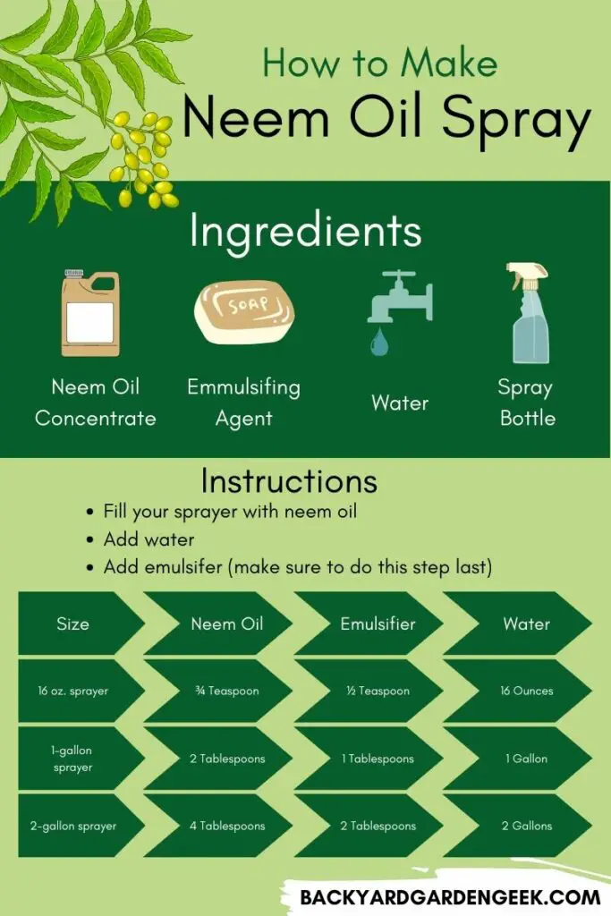 Infographic describing the materials and steps required to make a basic neem oil spray