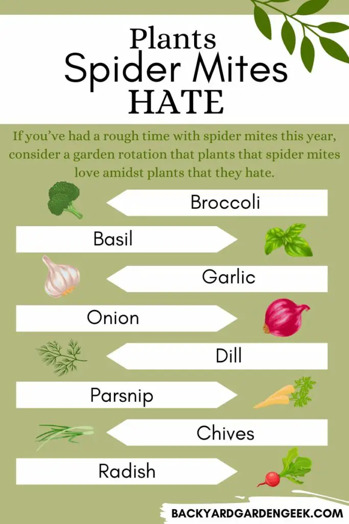 infographic listing several plants spider mites hate