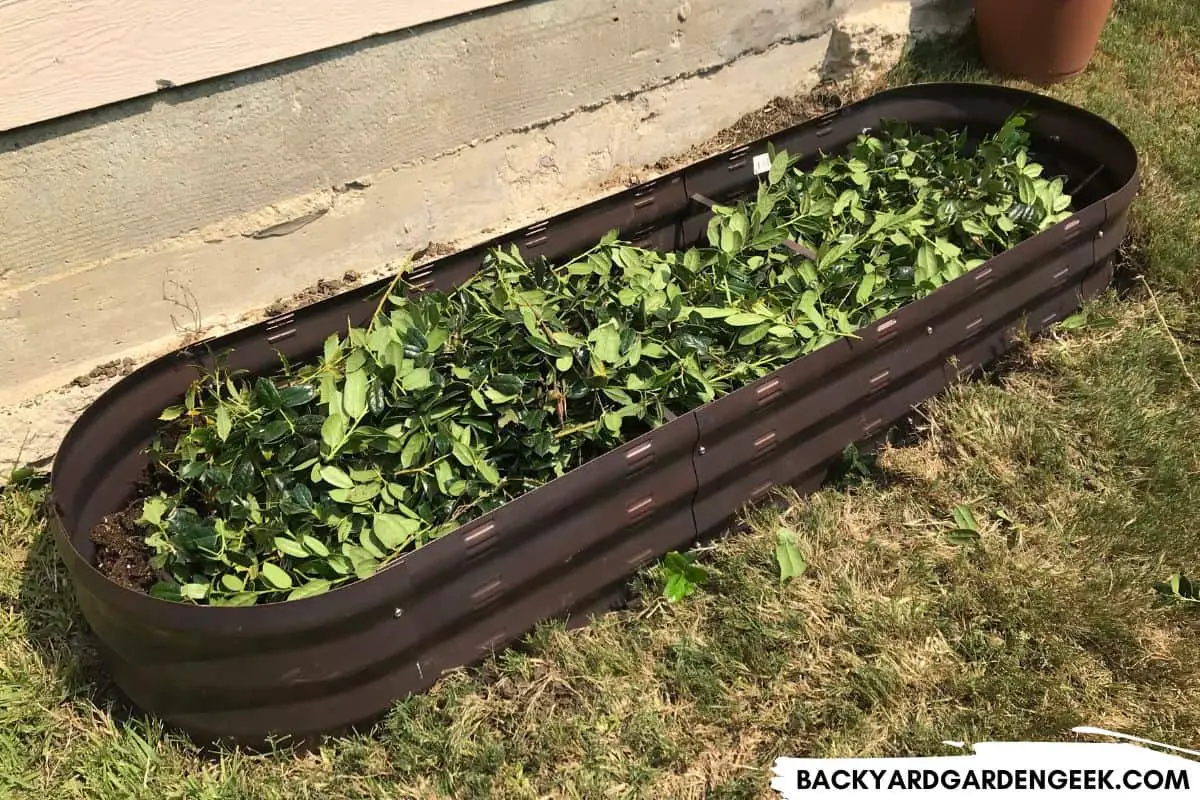 40 Cheap and Easy Ways to Fill Your Raised Garden Beds Backyard