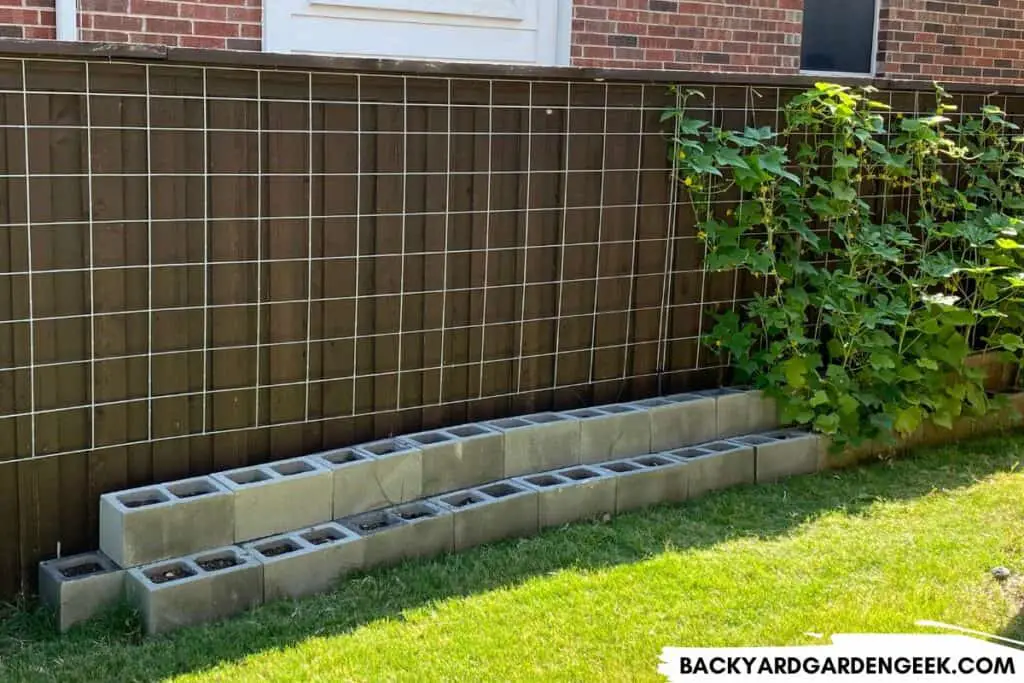 Cinder Block Garden Bed Along a Fence