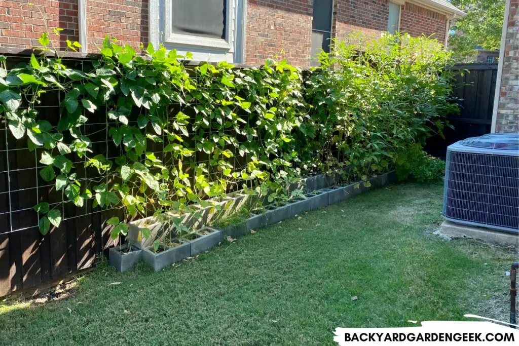 Concrete Blocks in Partial Shade