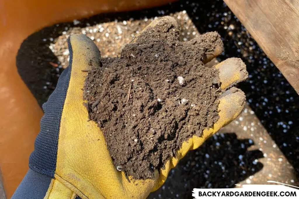 Gloved Hand Holding Soil