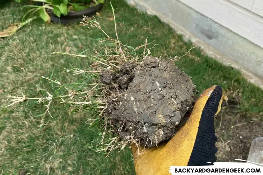 Hard-Packed Clay in My Backyard