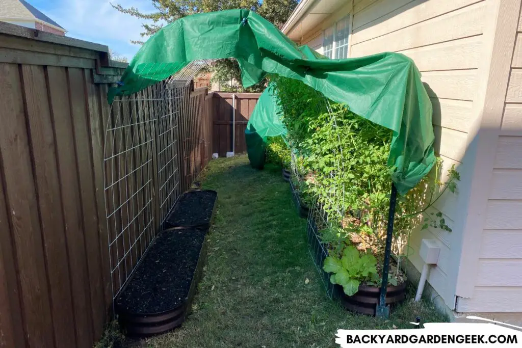 Partially Shaded Raised Beds Along Fence Line