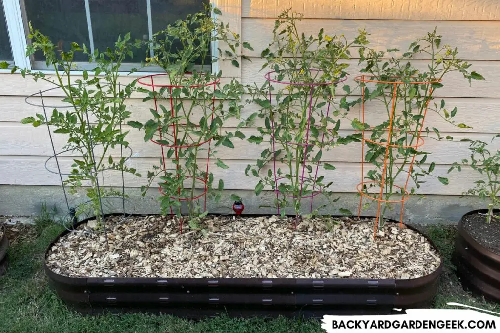 Raised Bed Covered in Mulch