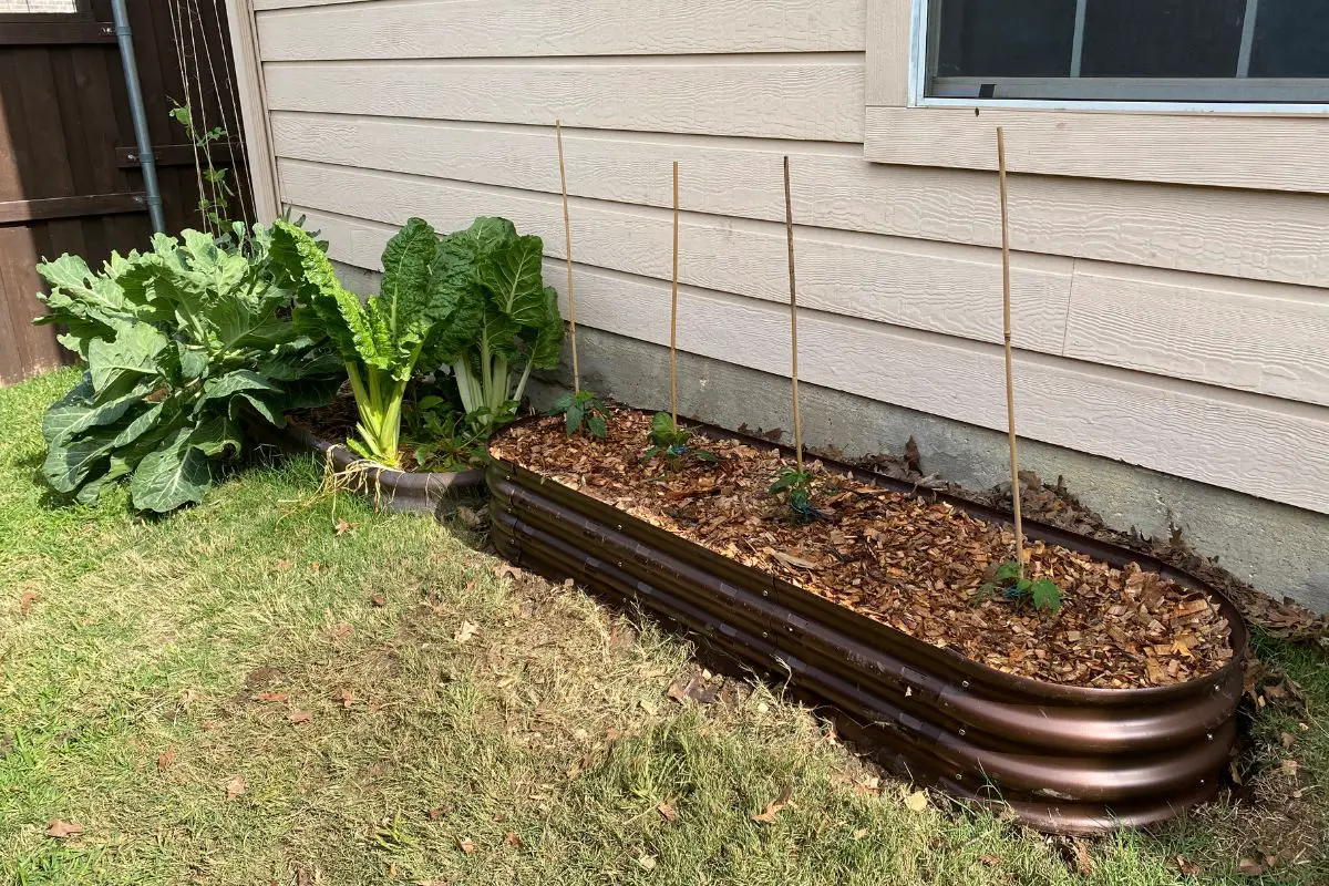 Raised Bed in Sunlight and Partial Shade