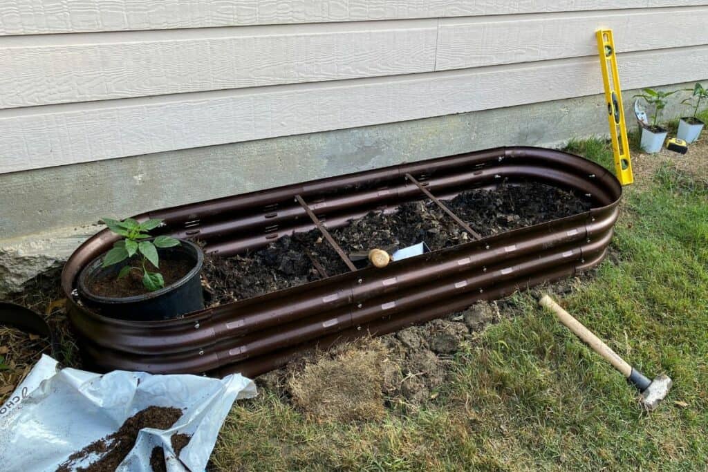 Raised Bed with Grass Removed