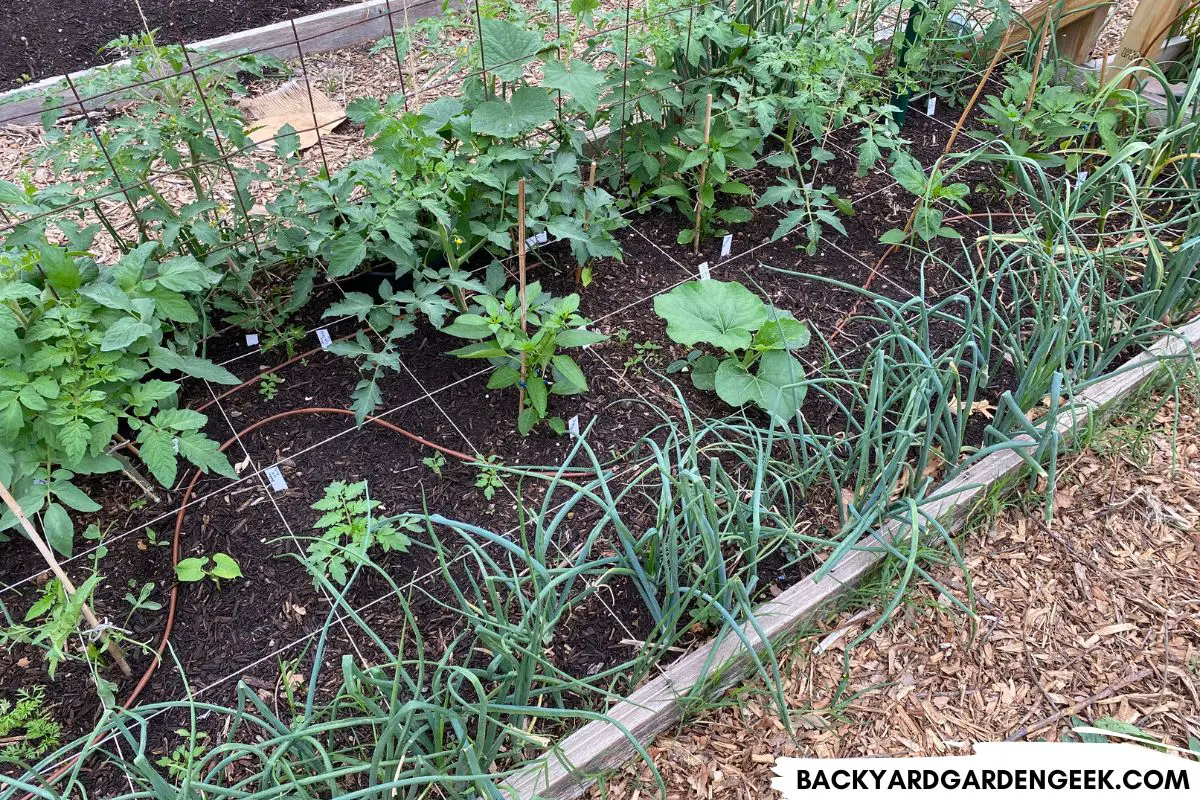 Landscape Fabric Under Raised Beds: Is It Necessary? – Backyard Garden Geek