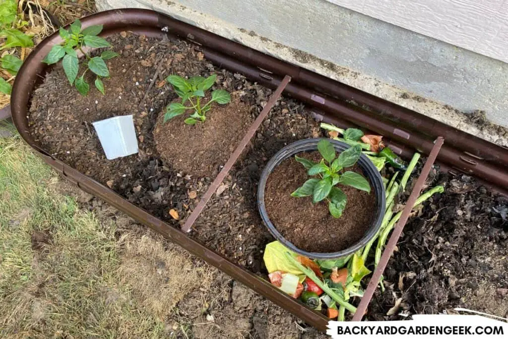 Raised Bed with Pepper Plants