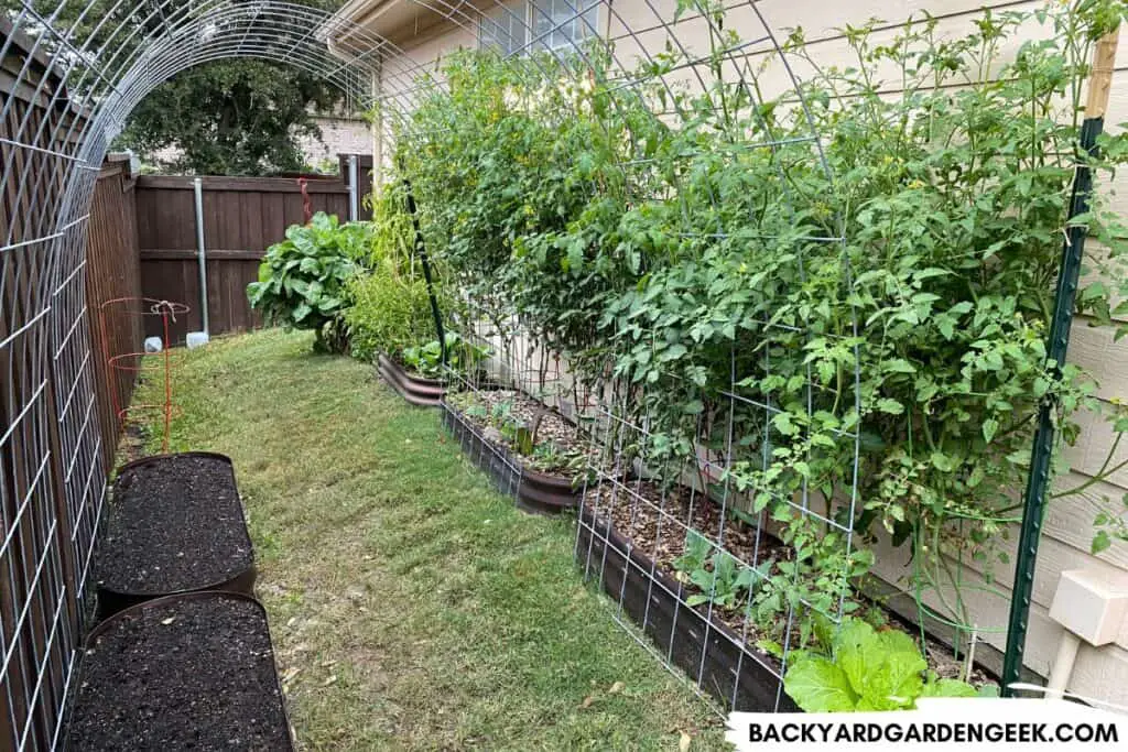 Raised Beds in My Backyard