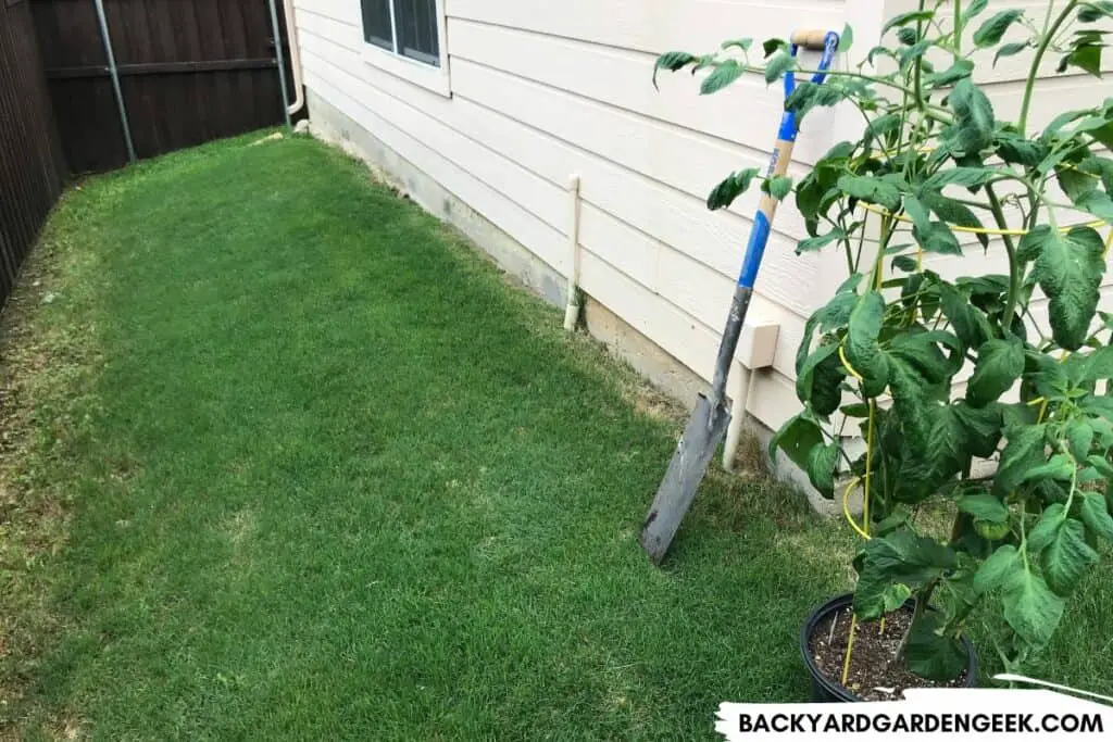 Sloped Grassy Area for Raised Garden Beds