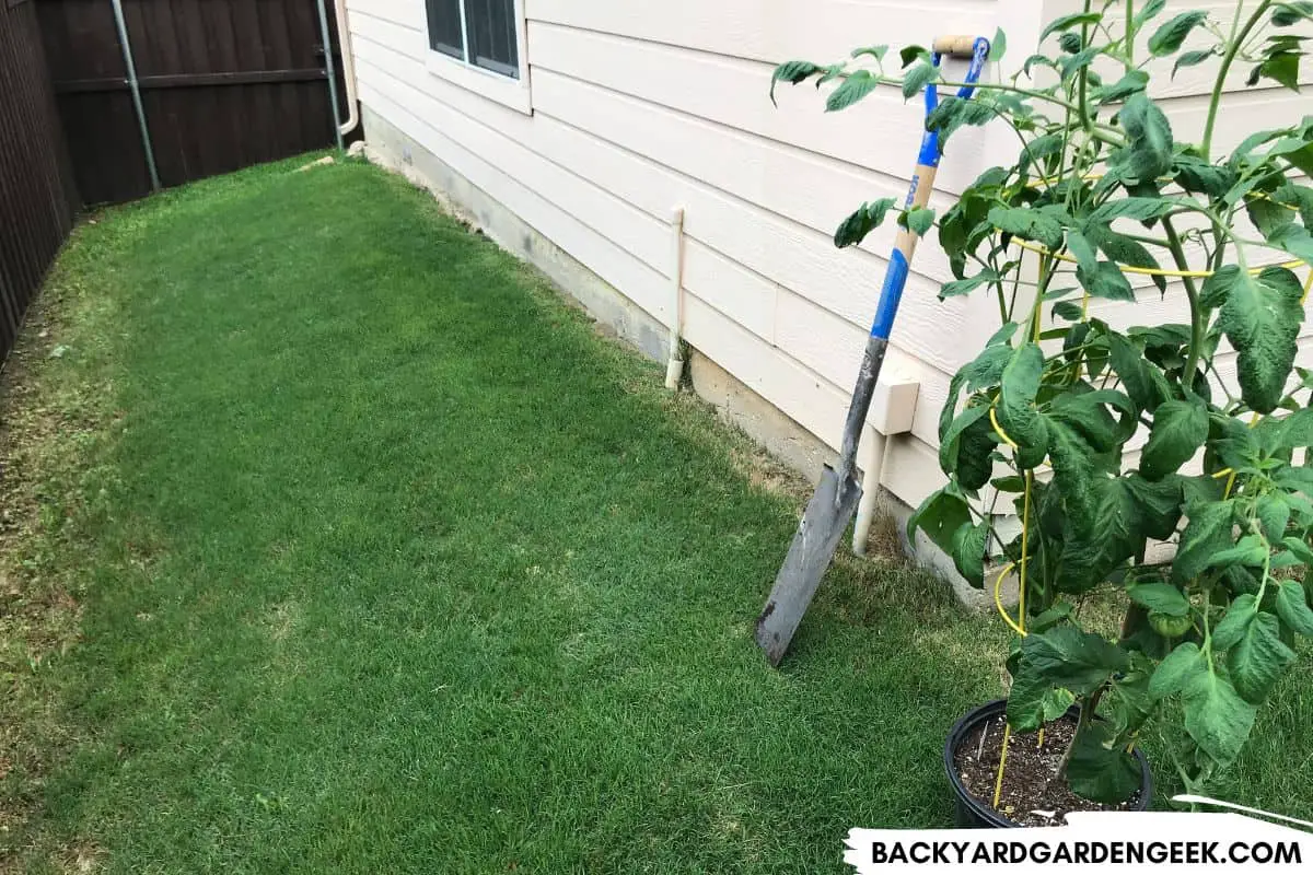 Should You Remove Grass Under Raised Beds? Backyard Garden Geek