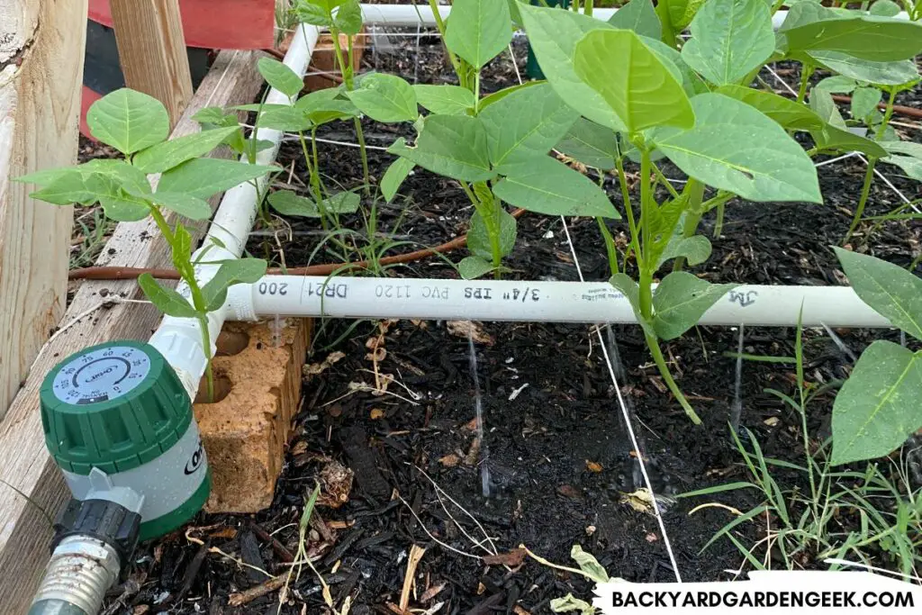 Watering System with PVC Pipes