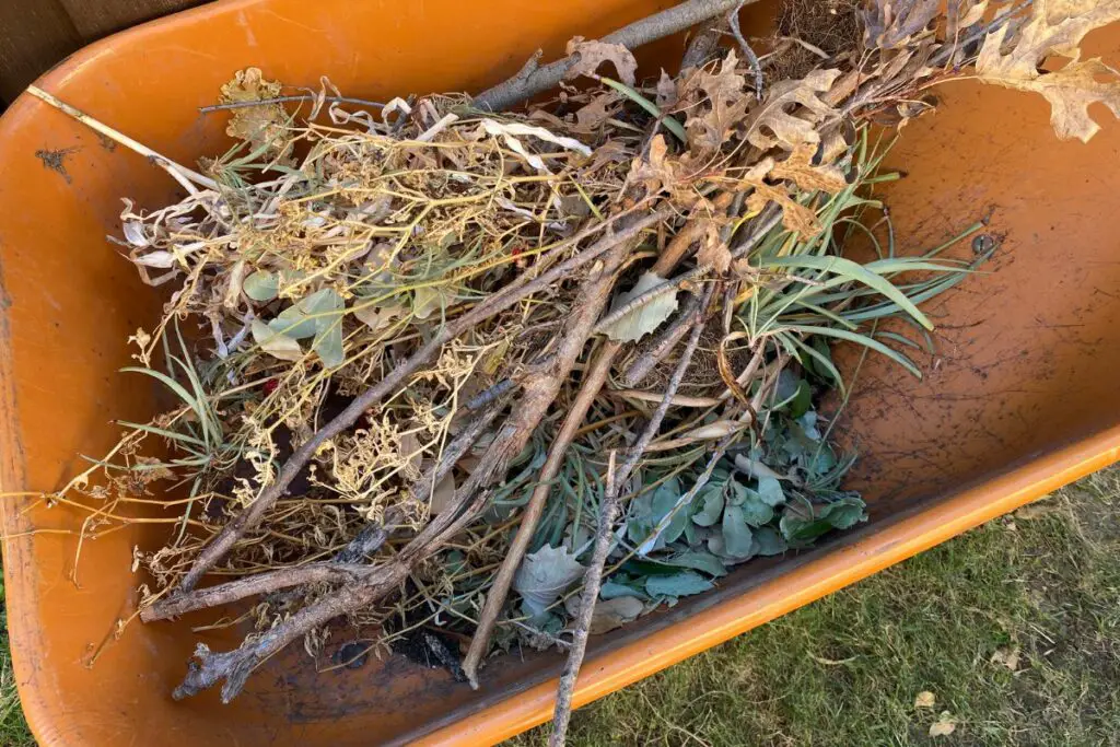 Yard Debris Used to Fill a Raised Bed