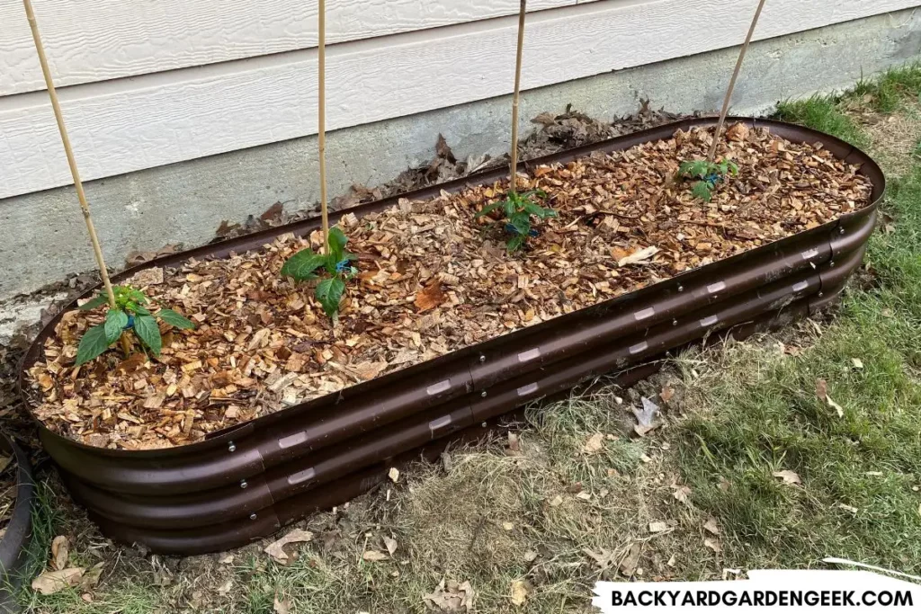 Raised Garden Bed with Pepper Plants