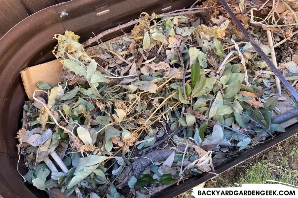 Raised Garden Bed With Cardboard and Yard Debris