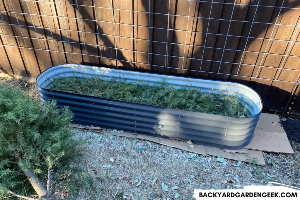 Raised Garden Bed Over Cardboard