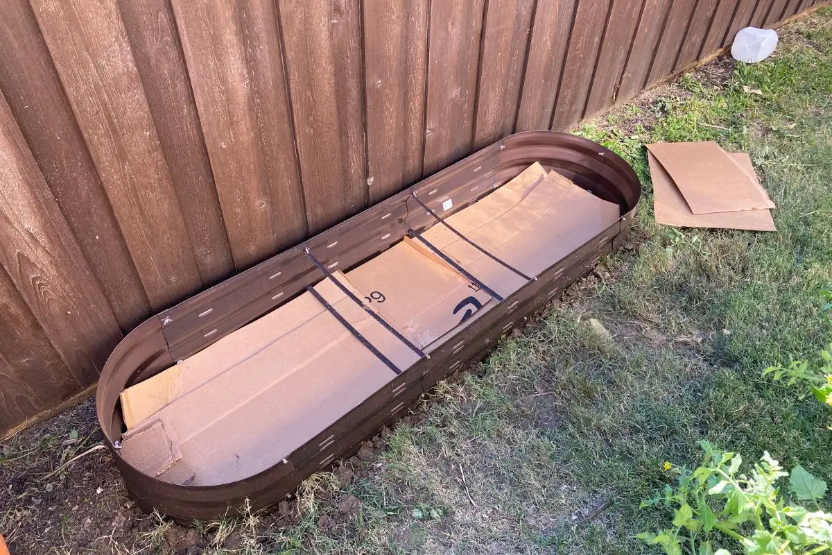 Cardboard in the bottom of a raised garden bed