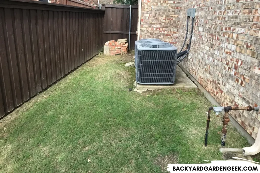 A Small Backyard Grassy Area