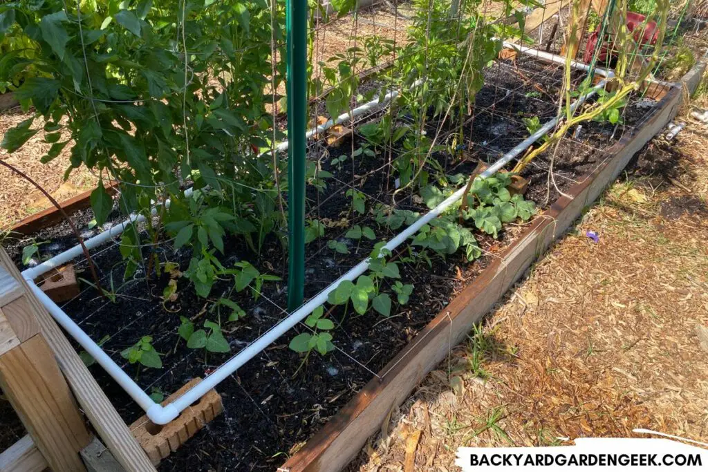 Raised Garden Bed with PVC Watering System