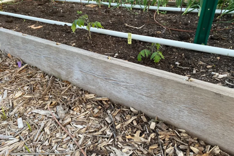 What Do You Put on the Ground Around Raised Beds?