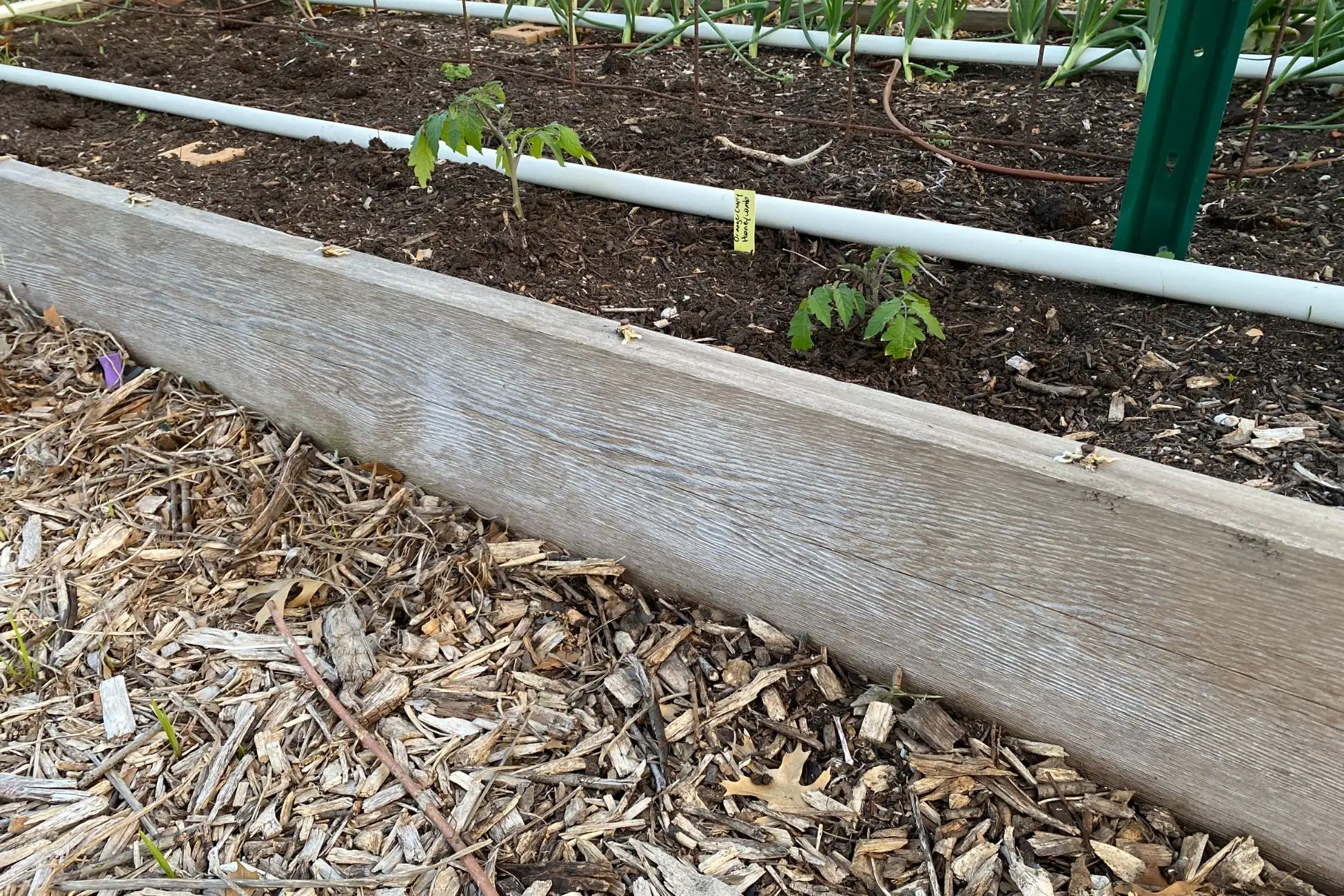 Wood Chips on the Ground Around a Raised Bed